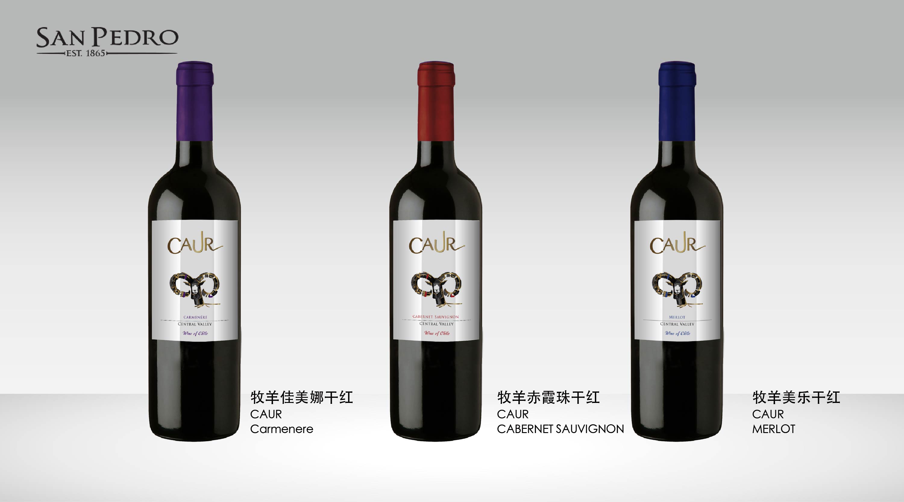 wechat 1.jpg